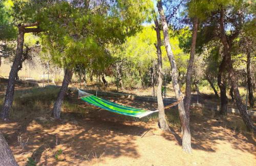 My Place 2 - Foto 24