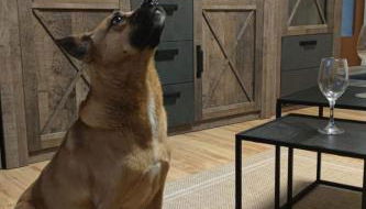 Apartment Das Familienreich by Interhome - Foto 3