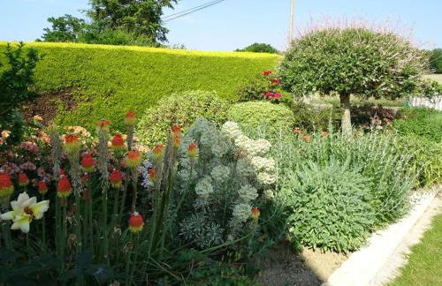 Brin de bonheur - Foto 23