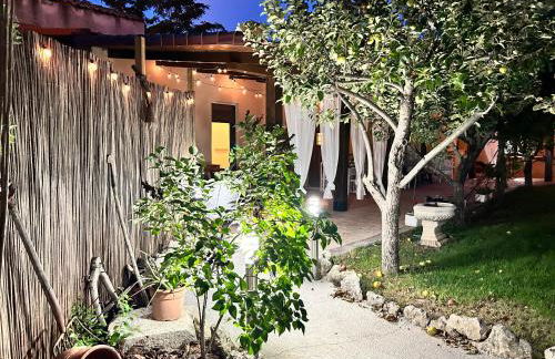 La Cija Olmedo - Foto 54