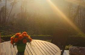 La casa nel verde con piscina - Photo 43