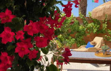 Bico das flores - Foto 62