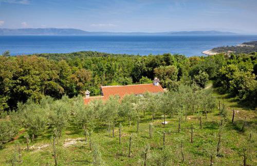 Roinizza in Prtlog (Haus für 4-5 Personen) - Foto 5