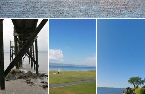 Holywood Halt - Foto 27