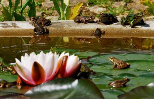 Locanda Casanuova - Photo 21