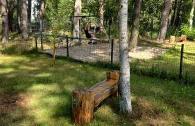 Daglezji 170 - Foto 46