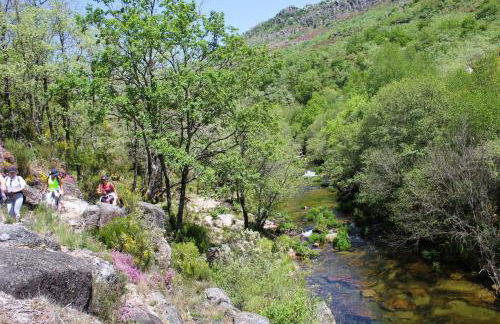 Casa Boletus - Foto 76