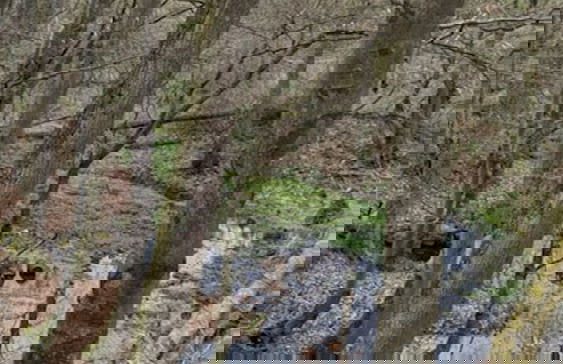 Apartment in Bad Wunnenberg Near Ski Willingen - Photo 28