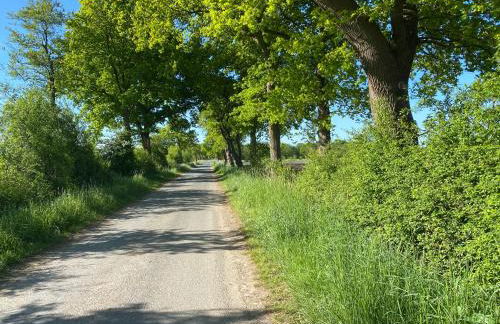 Ferienwohnung Ausguck - Foto 39