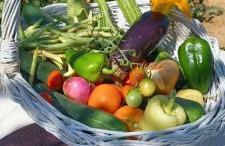 Country house Koštela - Photo 13