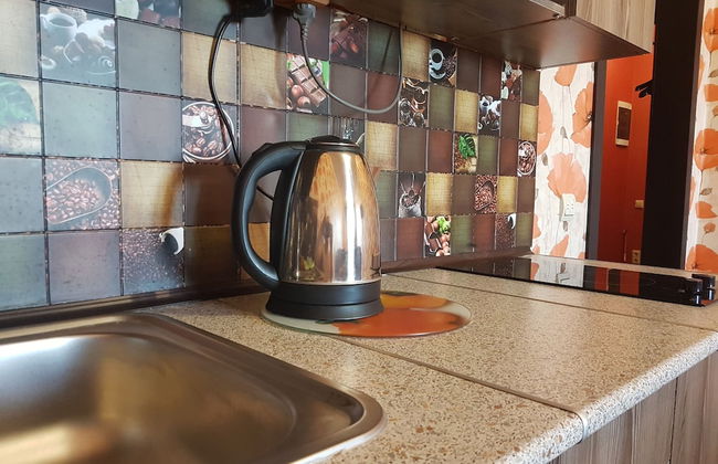 Zhukovsky apartment - Foto 9