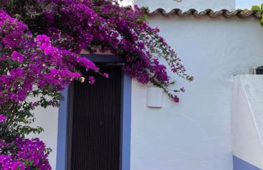 Courela do Monte Novo - Photo 19