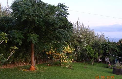 Quinta da Maria - Foto 10