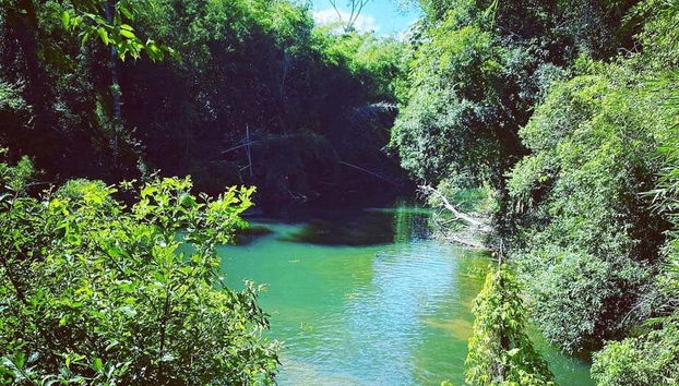 Excursion à la rivière Tagatiyá - Photo 2, Vue de la rivière Tagatiyá