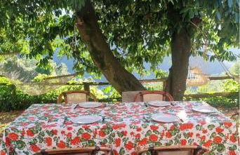 All ' ombra del lauro - Foto 22