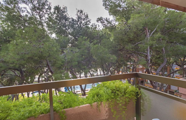 Els Pins Maria - Foto 18