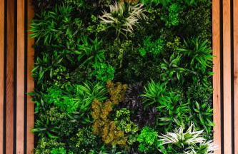 Kite Lodge - Foto 34