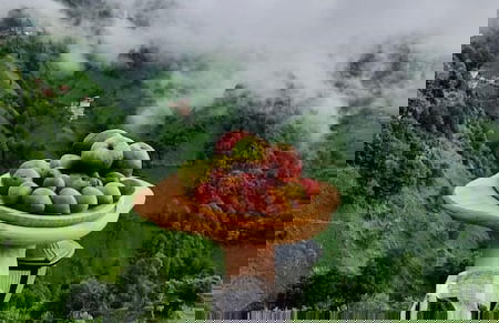 Northland Bungalows - Foto 47