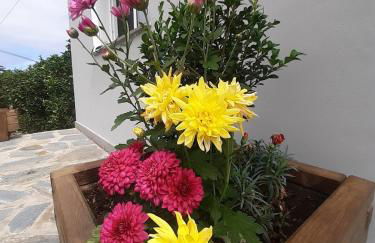 Finca de Luna - Foto 12