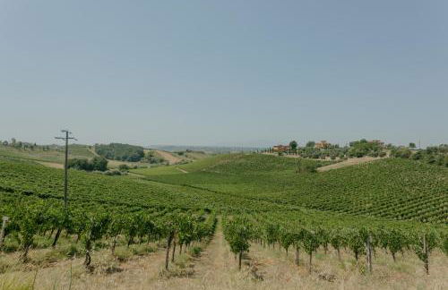 A casa di Luna - Foto 34