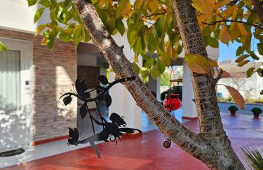 Happy Studio - Foto 29