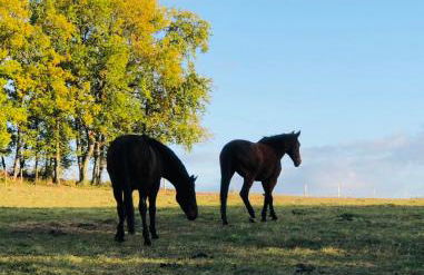 Le Buscagneau - Photo 23