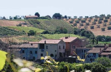 Agriturismo la Valle di Ceri - Photo 52