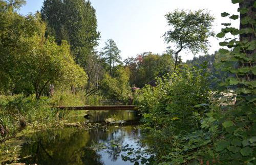 Agroturystyka Staroscin - Foto 29