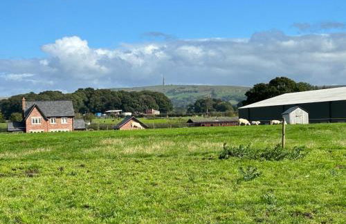 The Lodge - Photo 52