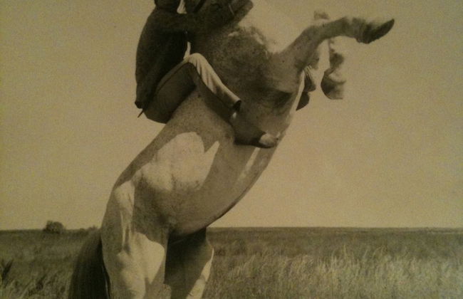 La Cabane du Boumian - Foto 69