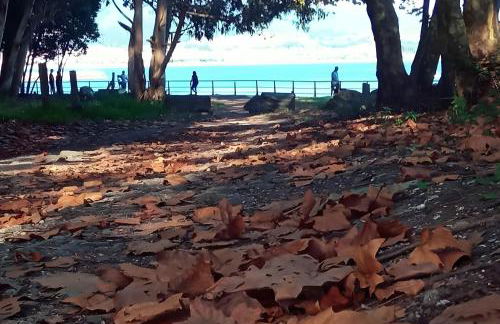 Villa Lukita - Foto 23