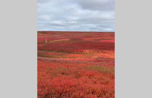 Downeast Coastal Maine Escape! - Foto 36