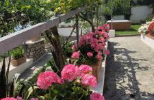 Villa Cristina - De Vivo Realty Piano di Sorrento - Foto 24