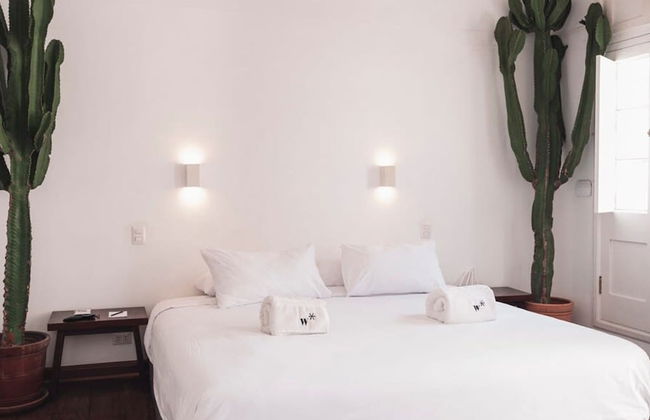 w Bohemian Villa in Heart of Barranco - Foto 16