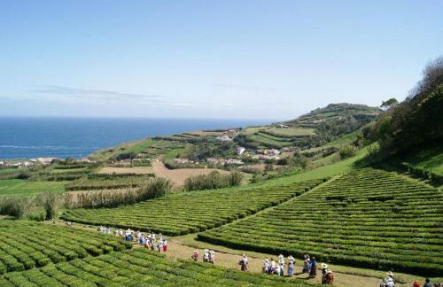 Ribeirinha House - Photo 19