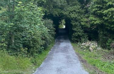 Adorable Victorian 1 bedroom annexe - Photo 24