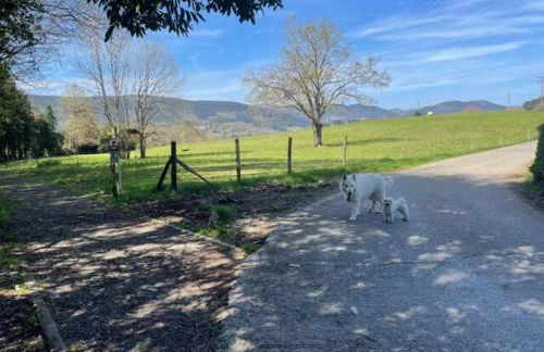 Ven y disfruta en el corazón de Bizkaia-Urdaibai LBI00509 - Foto 54