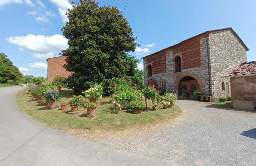 Corte Bicchio 11 ospiti - Foto 37