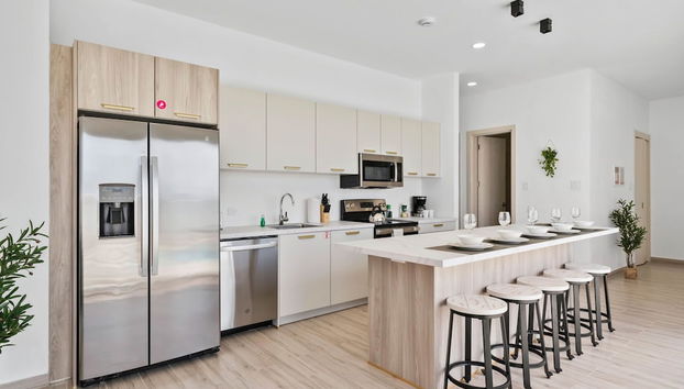 Caya Erasmus 5 - Foto 5, Servicios del alojamiento