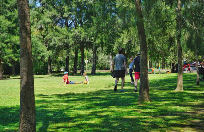 Recreo El Alcazar Boat Trip - Photo 7