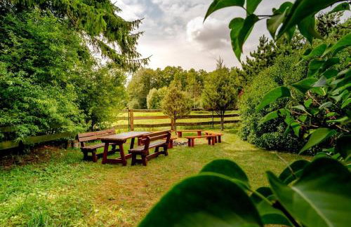 Siedlisko Waniewo 64 - Foto 15