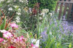 La Meïzou, gîte - chambres d hôtes à Champeix - Photo 26