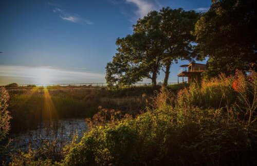 Tawny Lodge - Luxurious 1 Bedroom - Blossom Farm - Foto 20