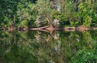 Studio au coeur de la vallée de la Loire - Foto 3