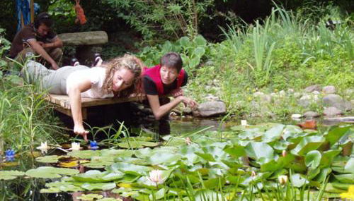 Ferienhaus Gartenlust - Foto 3