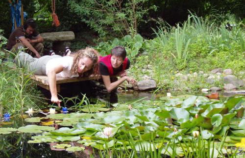 Ferienhaus Gartenlust - Foto 3