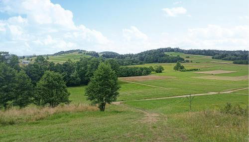 3 Bedroom Cozy Home In Barwald Dolny - Foto 3