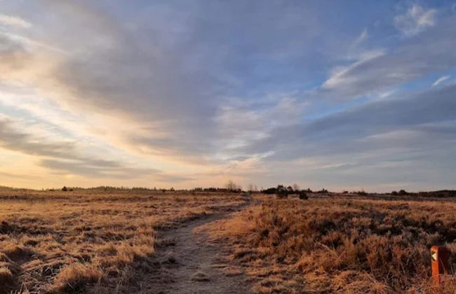 4 Star Holiday Home in Brande - Foto 34