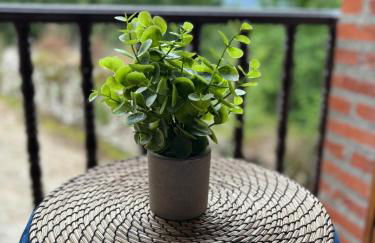 La Casa Grande de Cabrales I - Foto 31