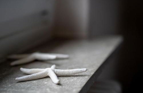 FeWo Paulsen Schobüll - Foto 30